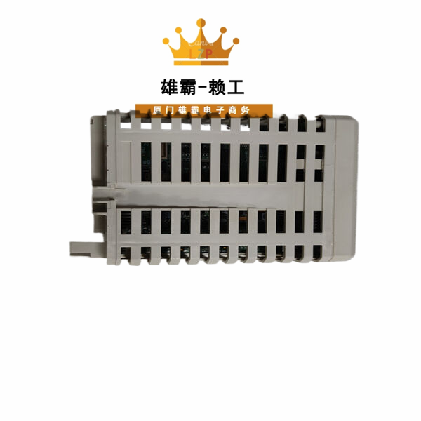 FAU810 ABB以太网控制器模块