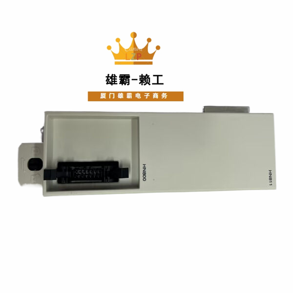 HN810A ABB总线模块